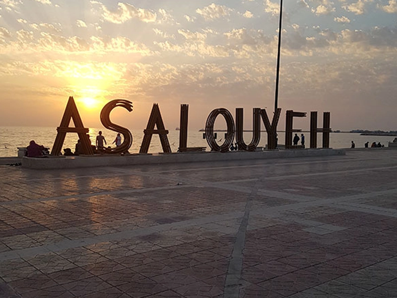 شعبه عسلویه